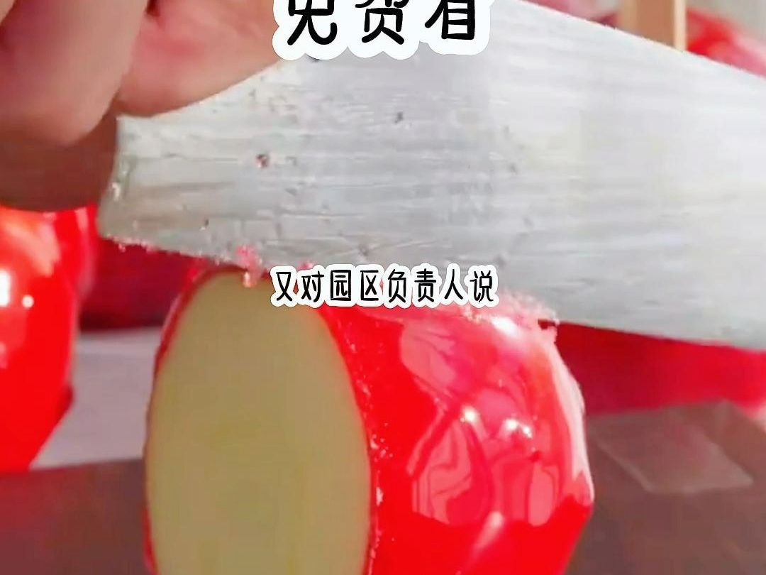 寻爱热烈哔哩哔哩bilibili