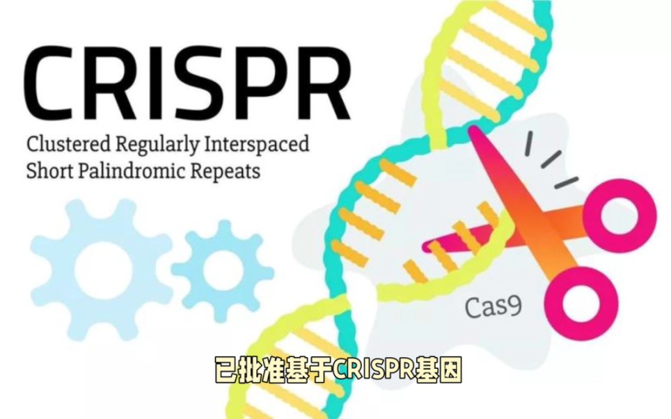 英国批准crispr基因编辑疗法,全球首个!或成"百万美元"级别"天价药"