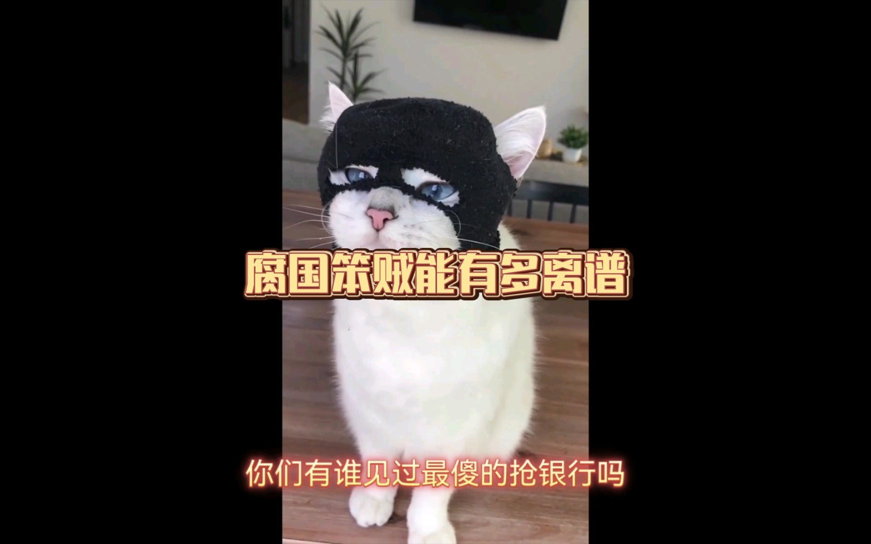 腐国吐槽治安篇——离谱的治安(下)哔哩哔哩bilibili