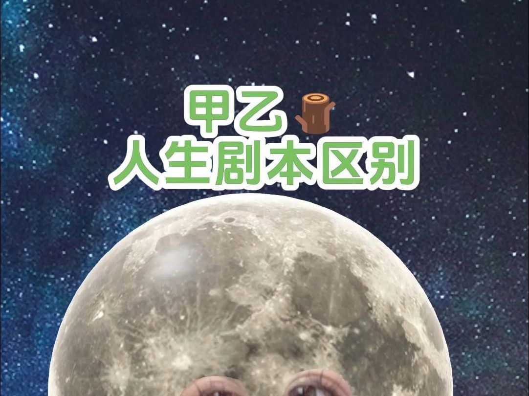 甲乙木的区别到底在哪里?哔哩哔哩bilibili