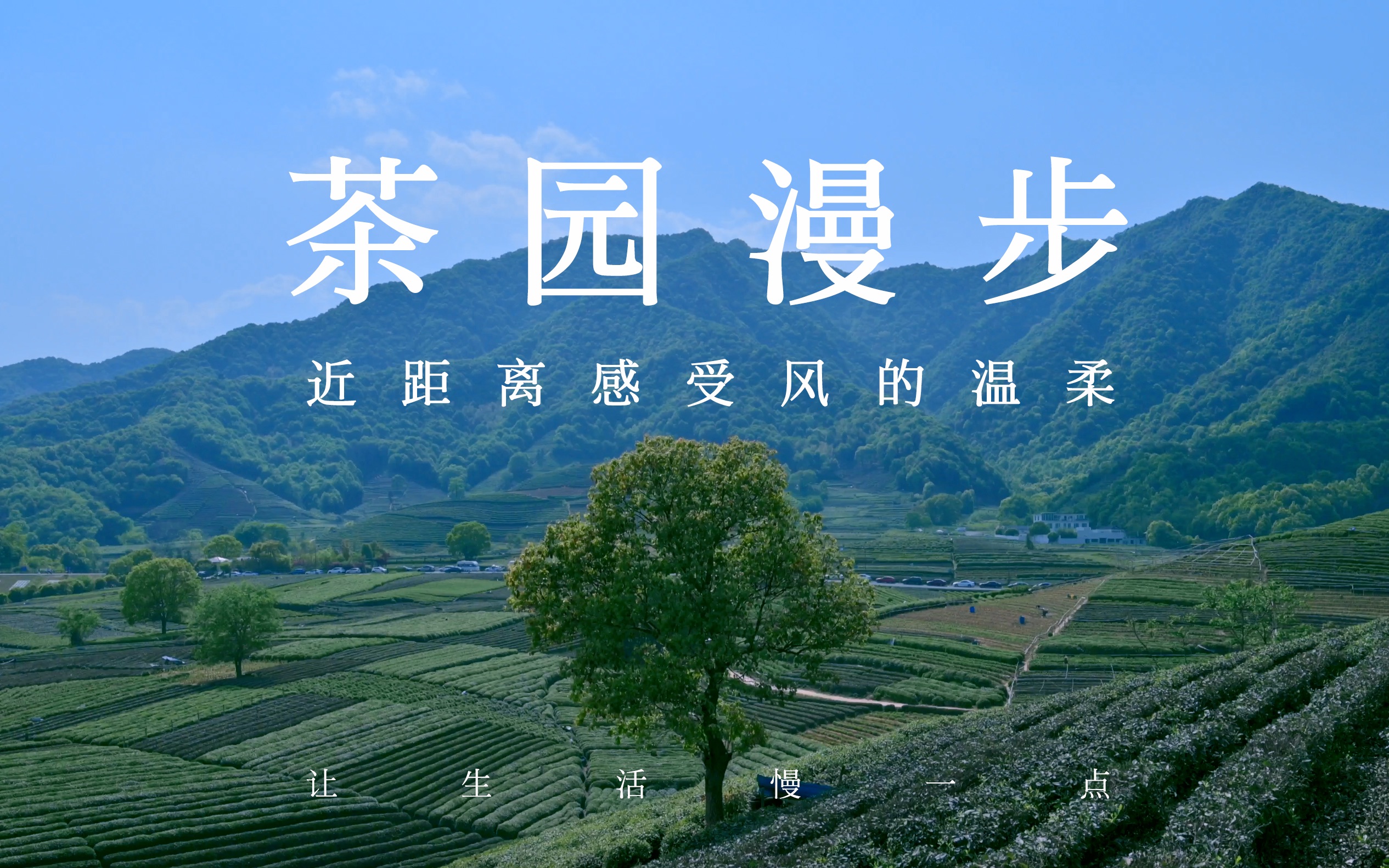 【4K风景】漫步杭州龙坞茶村,近距离感受风的温柔,美景真能治愈人心啊,愿你也能找到内心的那一份纯净哔哩哔哩bilibili