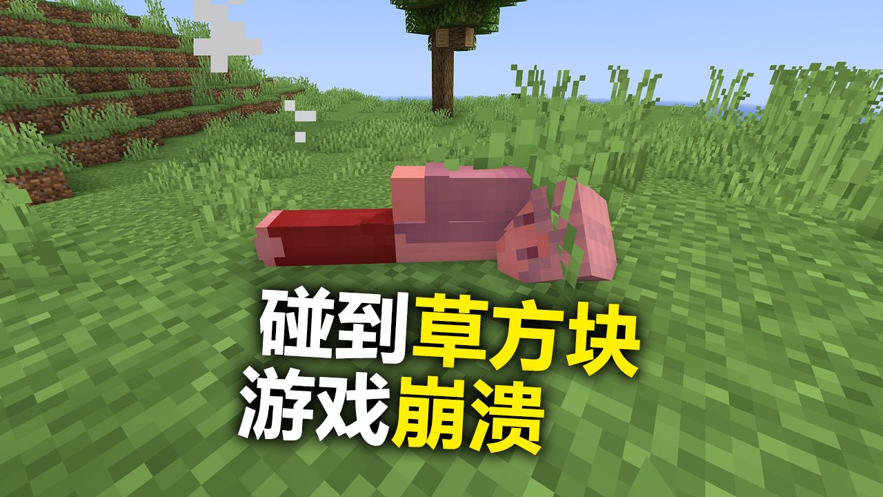 我的世界：踩到草方块就会游戏崩溃！你能一命速关吗？