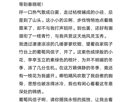 随笔/爱吃番茄味派大星/冬天,我有一棵葡萄风信子哔哩哔哩bilibili