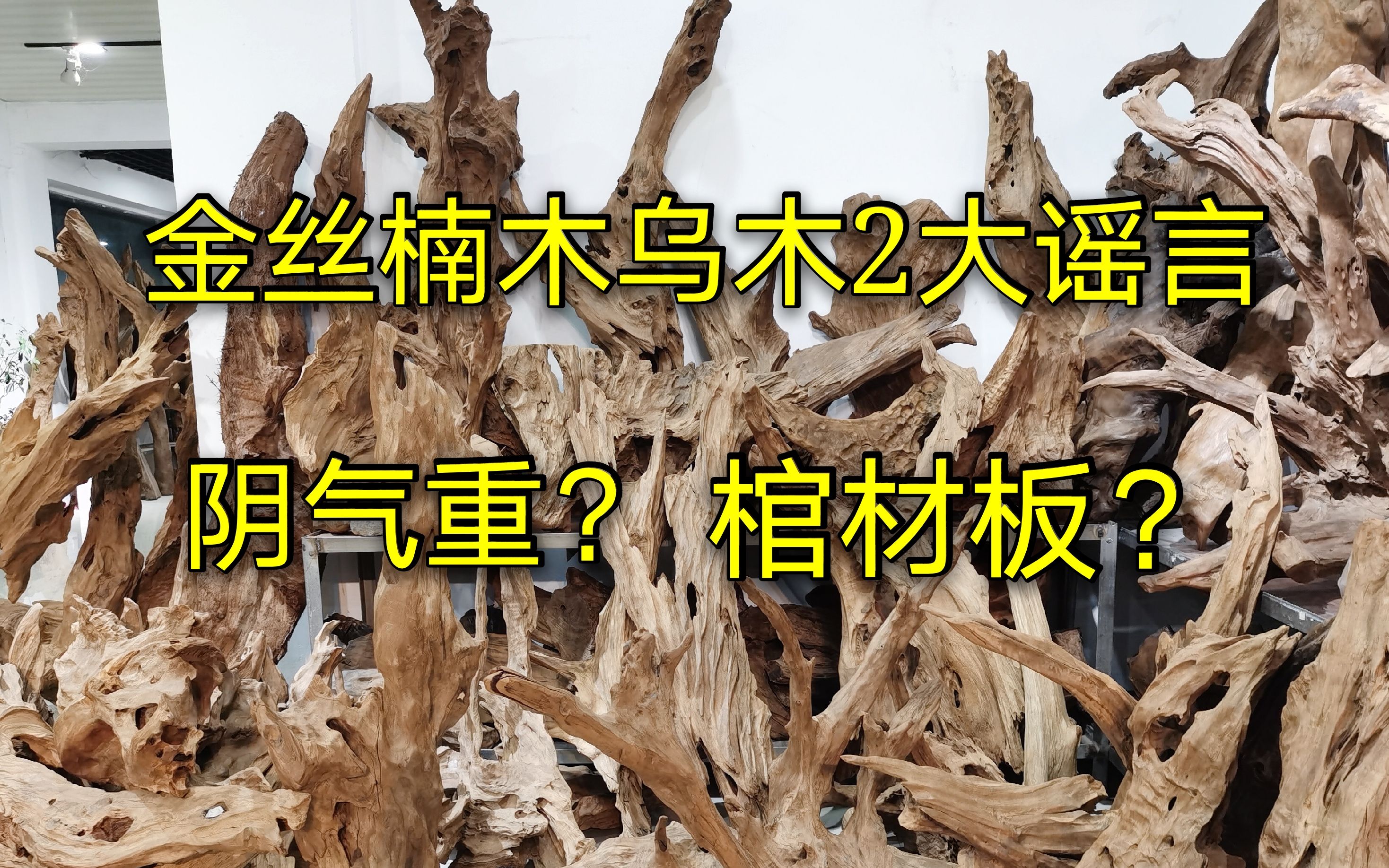 金楠木真的只是用来做棺材,金丝楠木乌木家具或摆件阴气重?辟谣哔哩哔哩bilibili