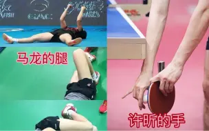 Download Video: 龙蟒兄弟，大不同！马龙和许昕有什么区别？懂事vs喜剧人!