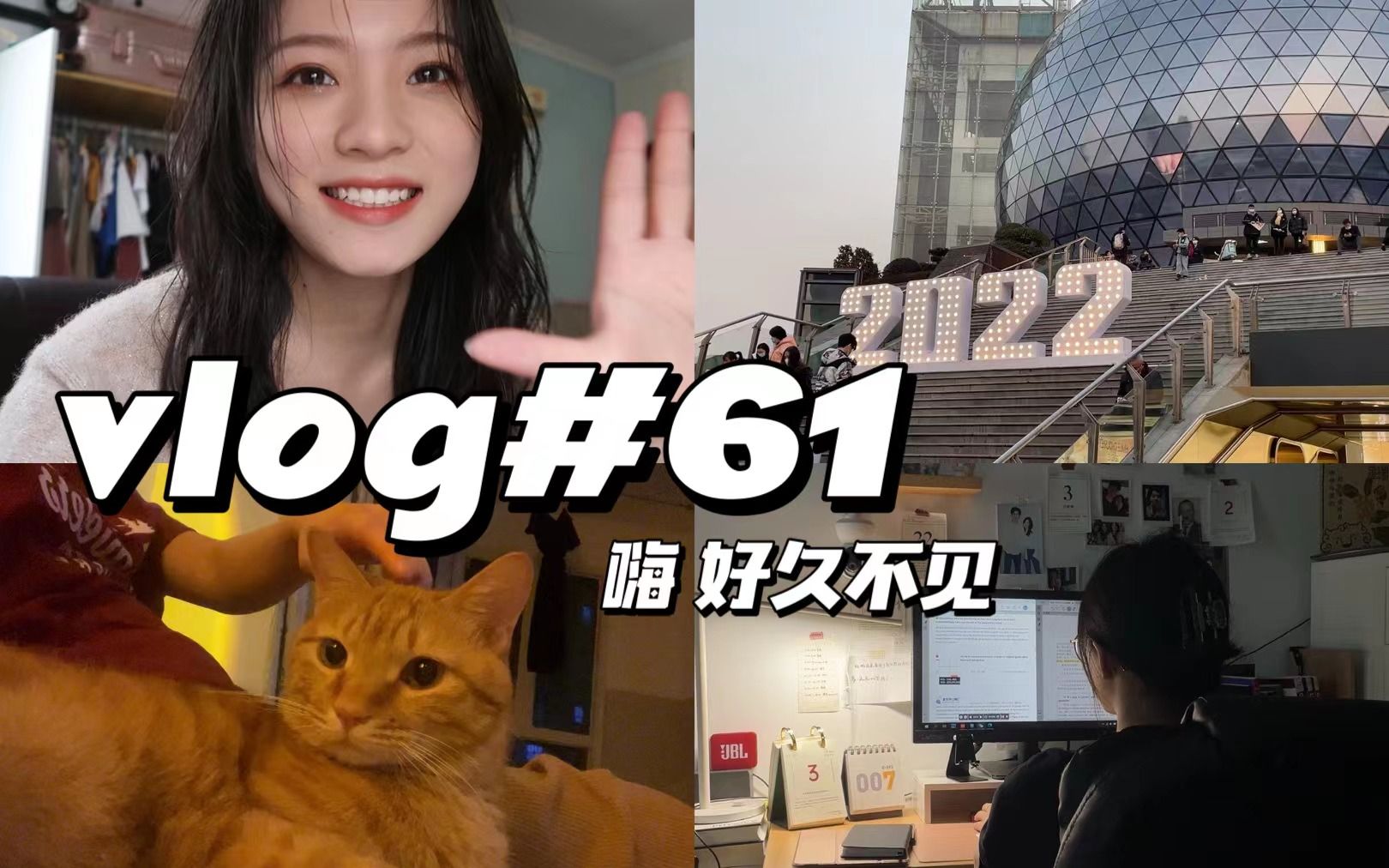 vlog#61| 消失的半年我干嘛去啦?完成留学申请 收到offer 提交签证 | 搬家 | 开始下厨!哔哩哔哩bilibili