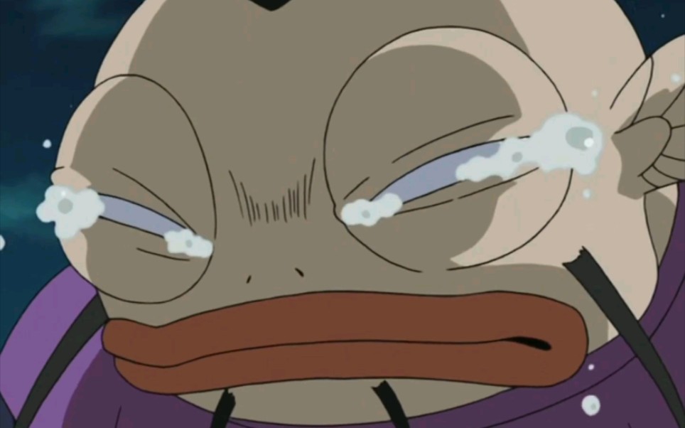 【犬夜叉】各种被嫌弃,可爱又可怜.