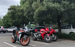 Video herunterladen: KTM RC390 与 HONDA CBR500R 澳大利亚 墨尔本 Kinglake 双人湿地跑山