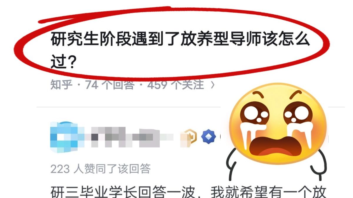 打破信息差“研究生阶段遇到了放养型导师该怎么过?”原来这样也可以靠自己完成毕业论文!不延毕啊!哔哩哔哩bilibili