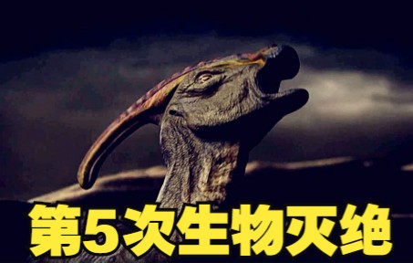发生在白垩纪的——第五次生物大灭绝 也是目前最近的一次大灭绝