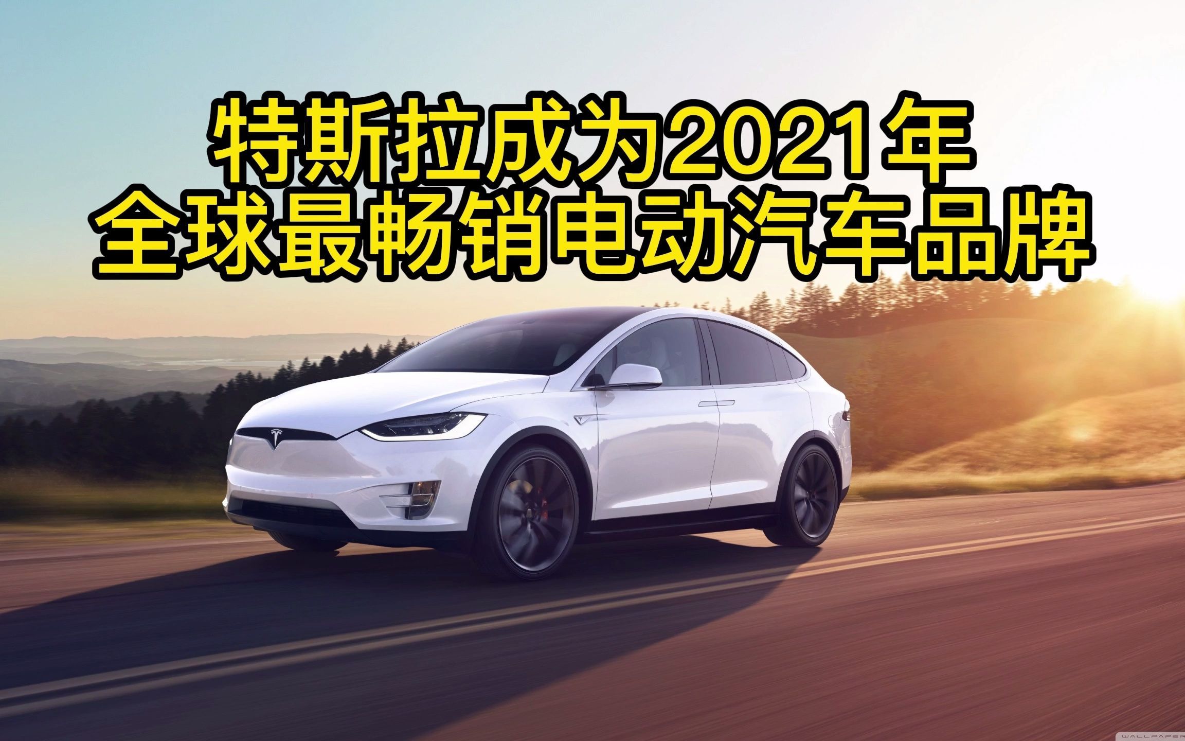 特斯拉以14.4%的市场份额成为2021年全球最畅销电动汽车品牌哔哩哔哩bilibili