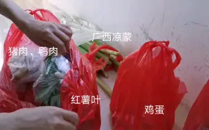 Download Video: 昨天是收获的一天，土特产满载而归，还有广西新鲜凉蒙