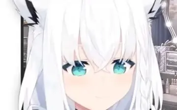 白神フブキ-哔哩哔哩_Bilibili