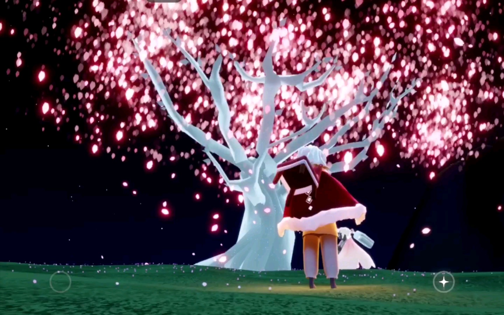 【光遇】春之樱/樱花树下能再次见到你吗?