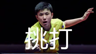å¼ æœ¬æ™ºå'Œè®­ç»ƒè§†é¢'2 å