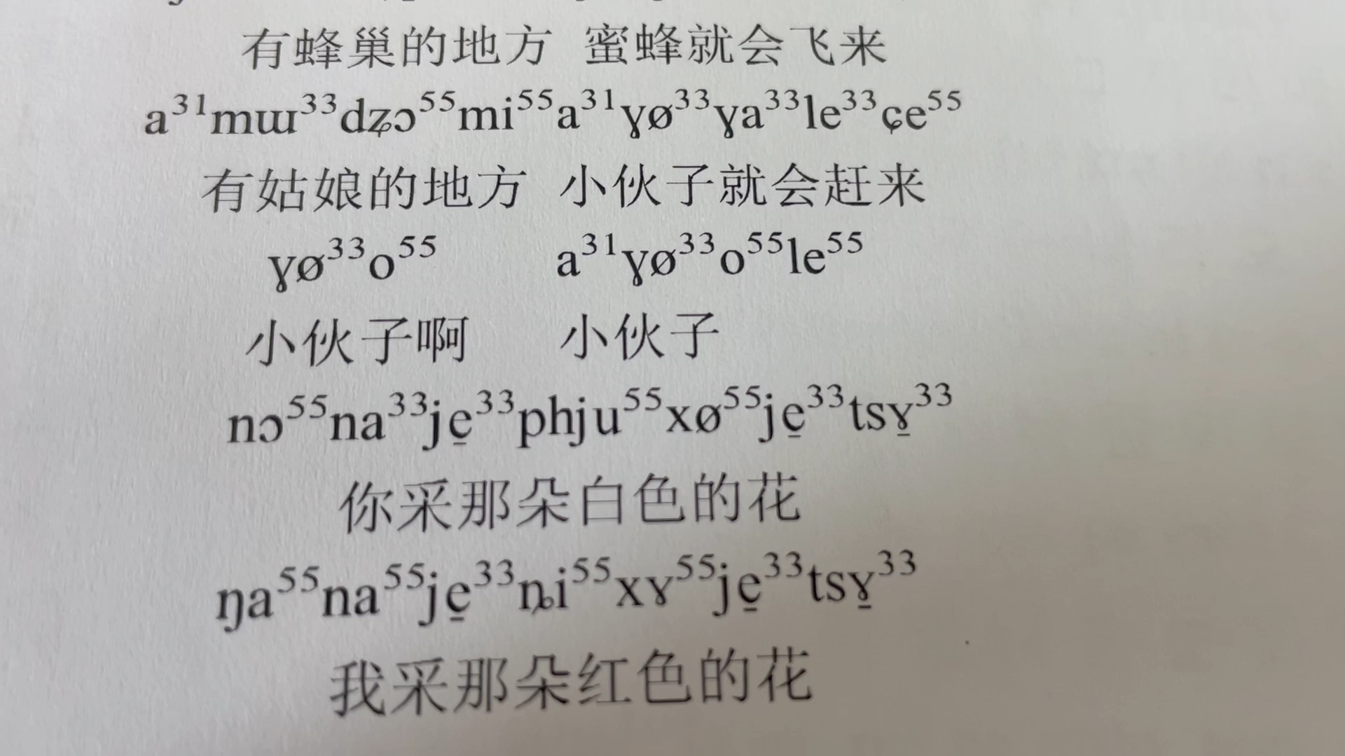 哈尼语歌词学习