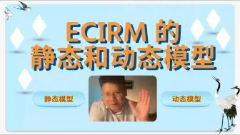 理论讲解：ECIRM 的静态和动态模型