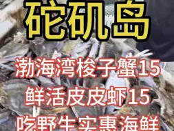 Download Video: 砣矶岛渤海湾野生大梭子蟹15，皮皮虾15，吃渤海湾野生海鲜住一刻闲舍海岛网红民宿，来海岛找我休闲度假吧#砣矶岛开海了