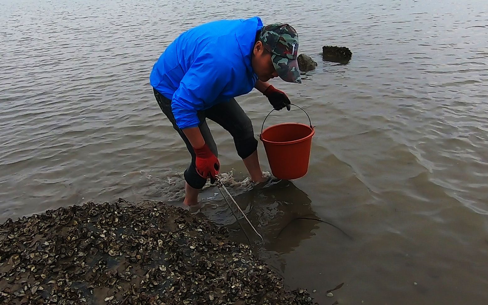 潮水刚退吴哥就上海岛赶海,荒岛上的海货都是大而肥,轻松爆桶_哔哩