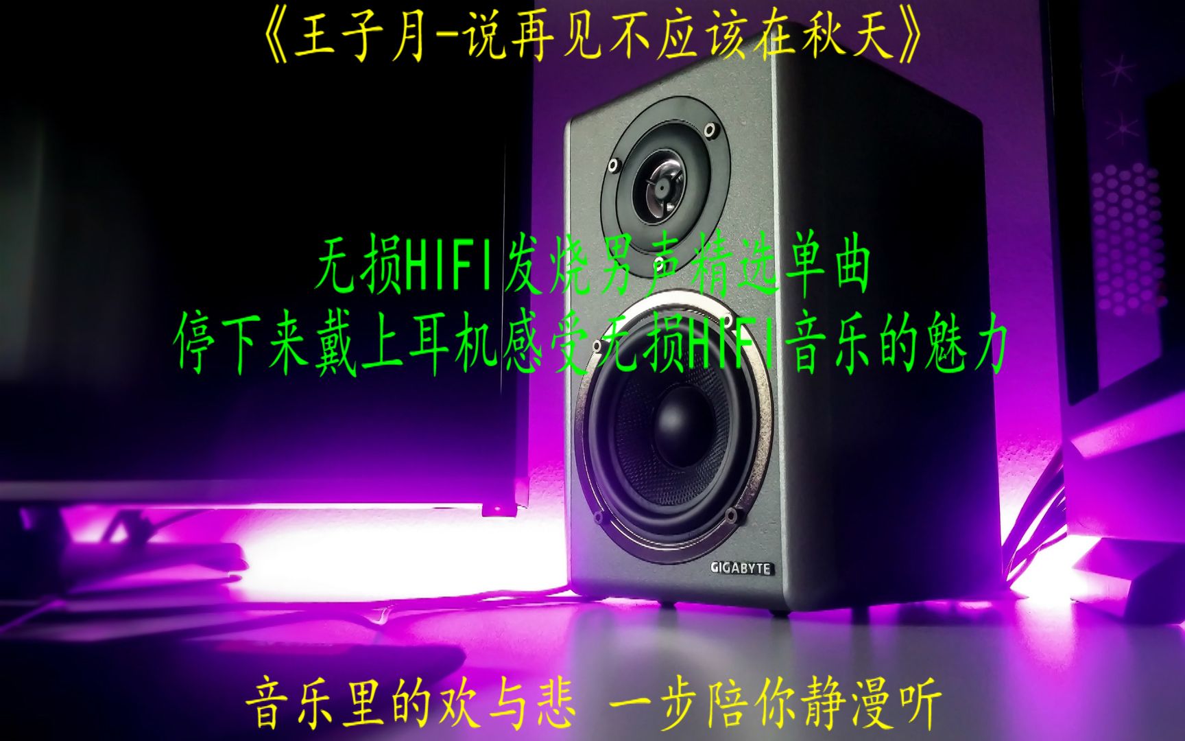 无损发烧HIFI人声试音精选王子月《说再见不应该在秋天》哔哩哔哩bilibili