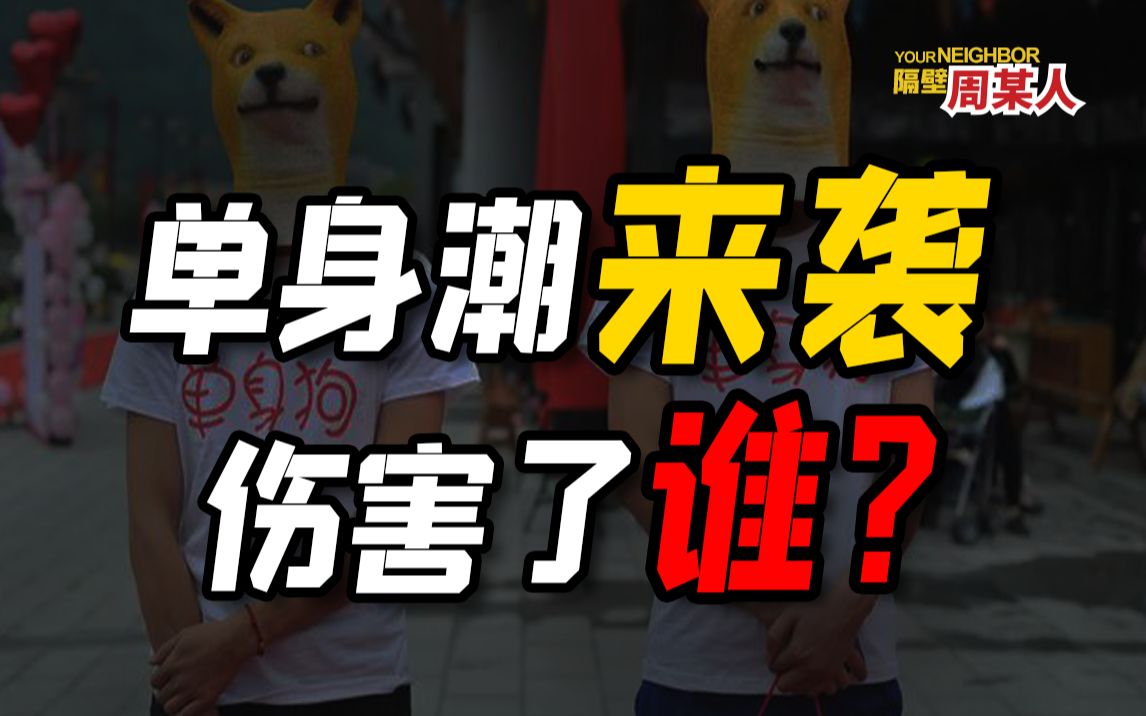 月薪5000不想恋爱,越来越多年轻人选择单身,你在怕什么?哔哩哔哩bilibili