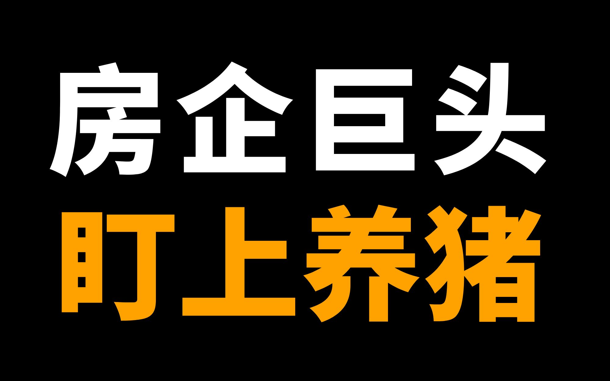 卖房不如养猪?千家房企为何纷纷养起了猪?【商业观察】哔哩哔哩bilibili