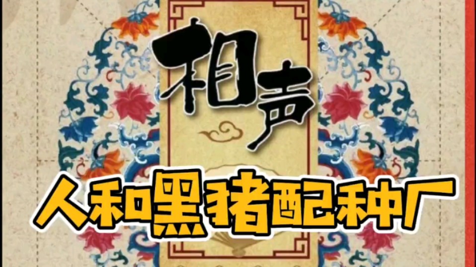 相声 人和黑猪配种厂哔哩哔哩bilibili