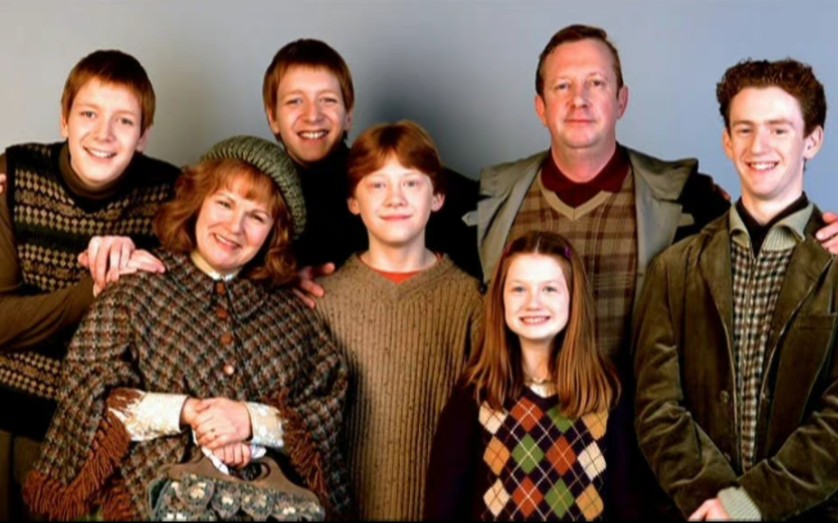 《哈利·波特与凤凰社》