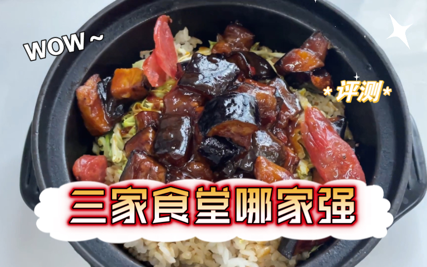 立信食堂测评之——鱼香茄子煲仔饭(三食堂二楼)哔哩哔哩bilibili