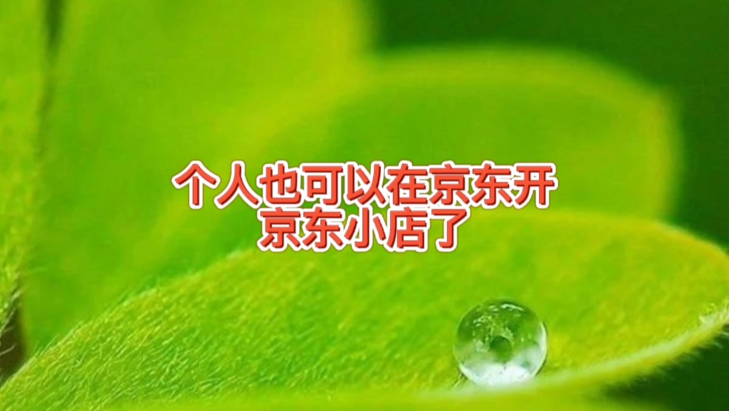 个人和个体工商户也可以在京东开京东小店了,网上卖东西创业机会哔哩哔哩bilibili