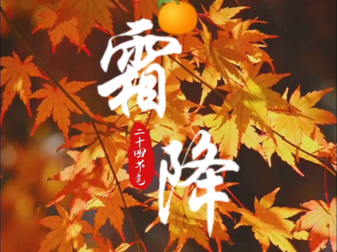 今天是2024年10月23号 农历九月二十一 年年秋色最深处 岁岁霜降日日寒 今日霜降哔哩哔哩bilibili