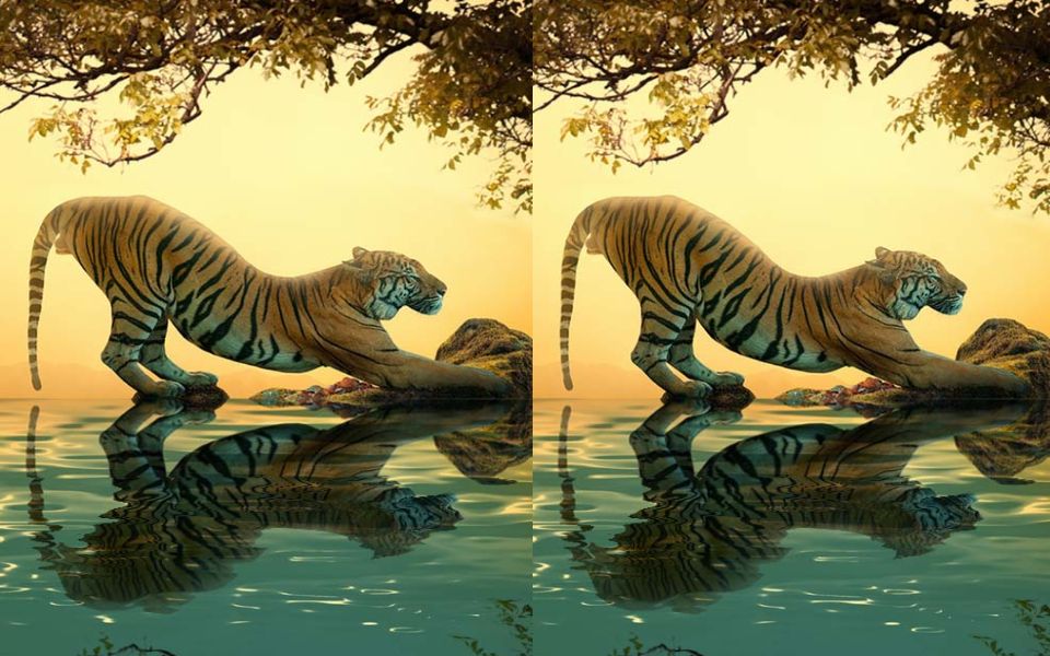 ps小技巧:水中倒影