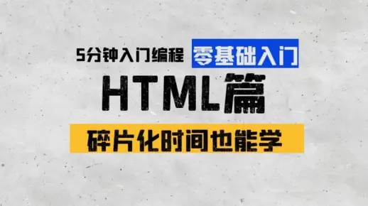 女老师5分钟带你学编程-HTML篇 | 第十五章：textarea多行文本框