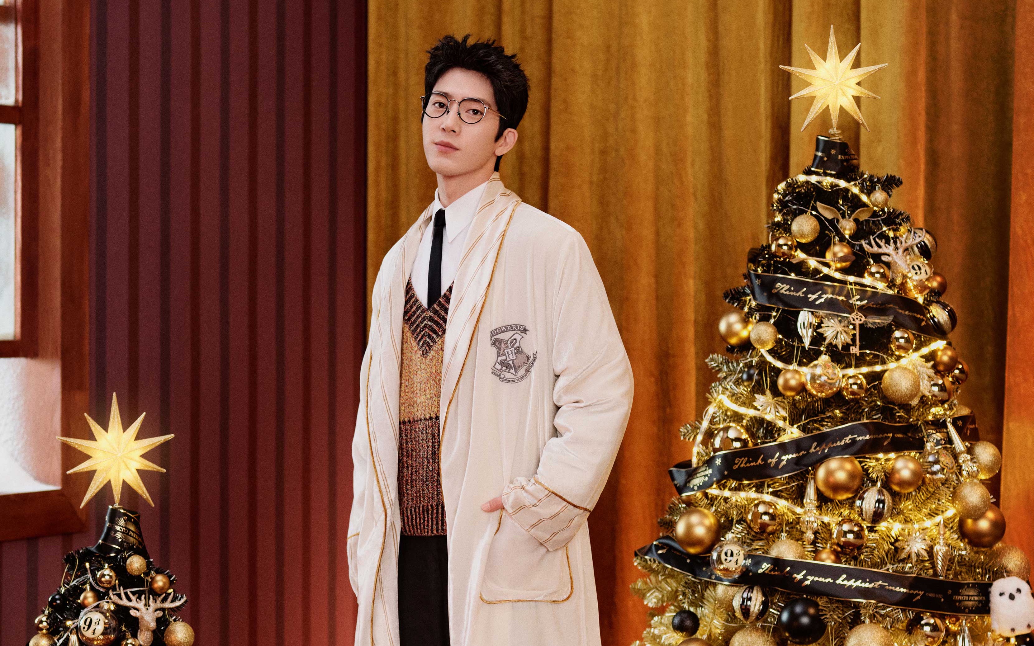 tbh野兽派家居邀请野兽派代言人井柏然演绎2021哈利.波特魔法圣诞季.