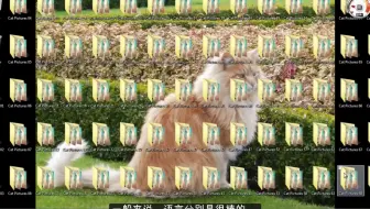 理解函数式编程中的monad 哔哩哔哩 Bilibili