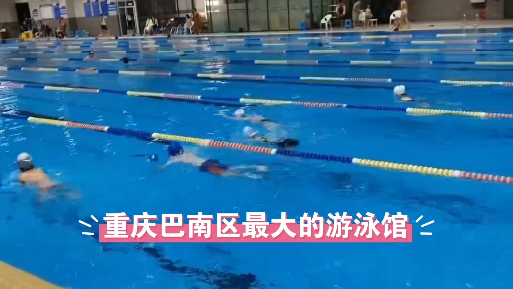 巴南区最大最好的室内恒温国标泳池