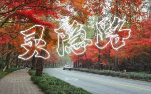 Download Video: 【灵隐路】红叶季。