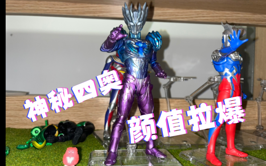 赛迦shf新人自改展示