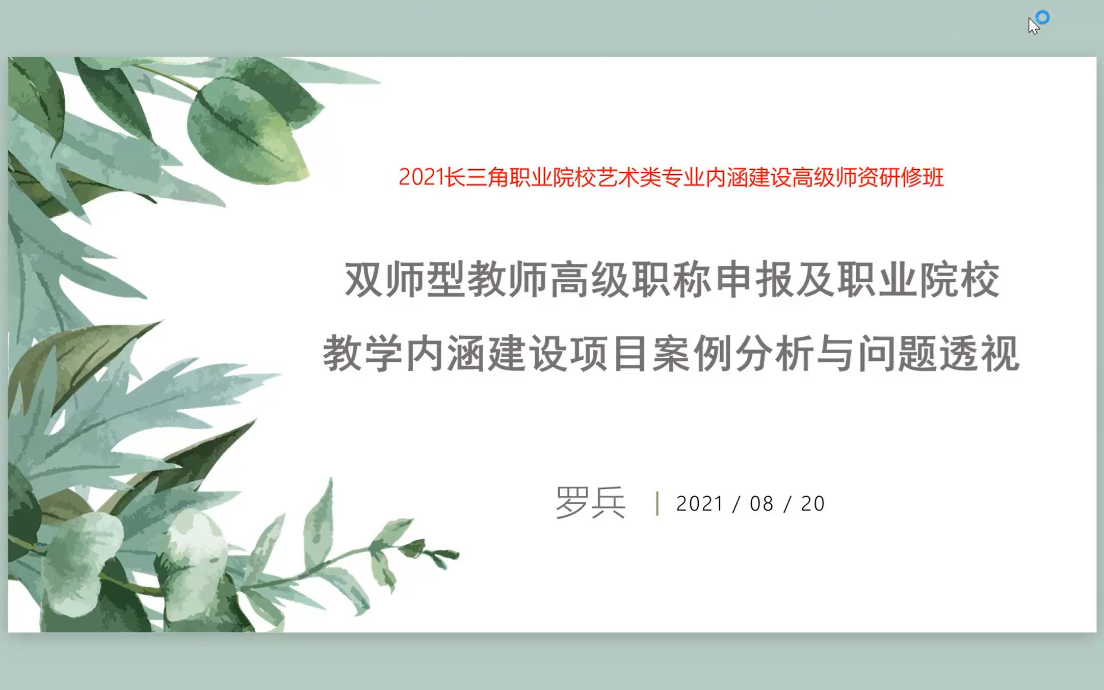 罗兵教授主题讲座《双师型教师高级职称申报及职业院校教学内涵建设项目案例分析与问题透视》哔哩哔哩bilibili