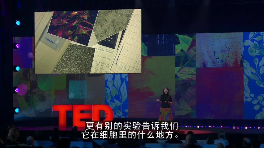 [图]【TED】探索奇妙的分子世界（Explore the wonderful molecular world）