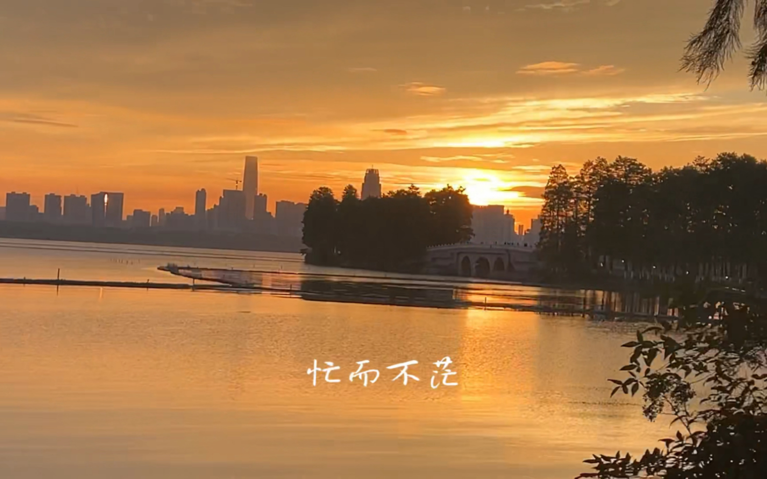 再熬一熬吧,马上风吹落叶下雪,这一年就过去了