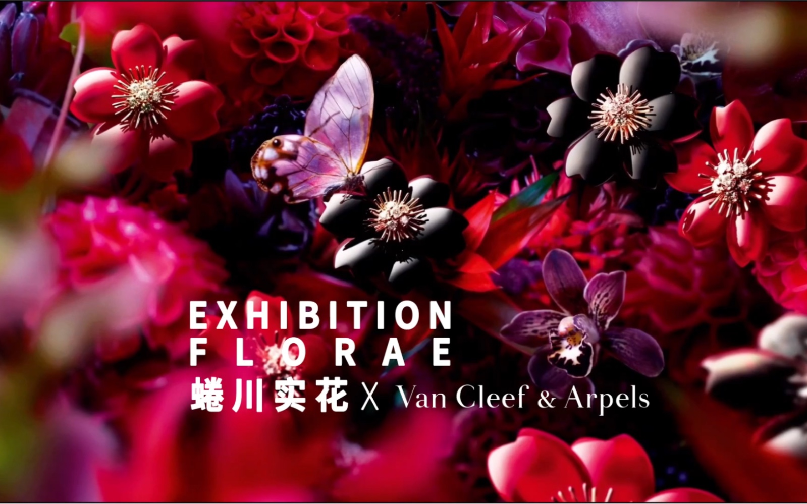 看梵克雅宝×蜷川实花florae-2021巴黎大展幕后策划