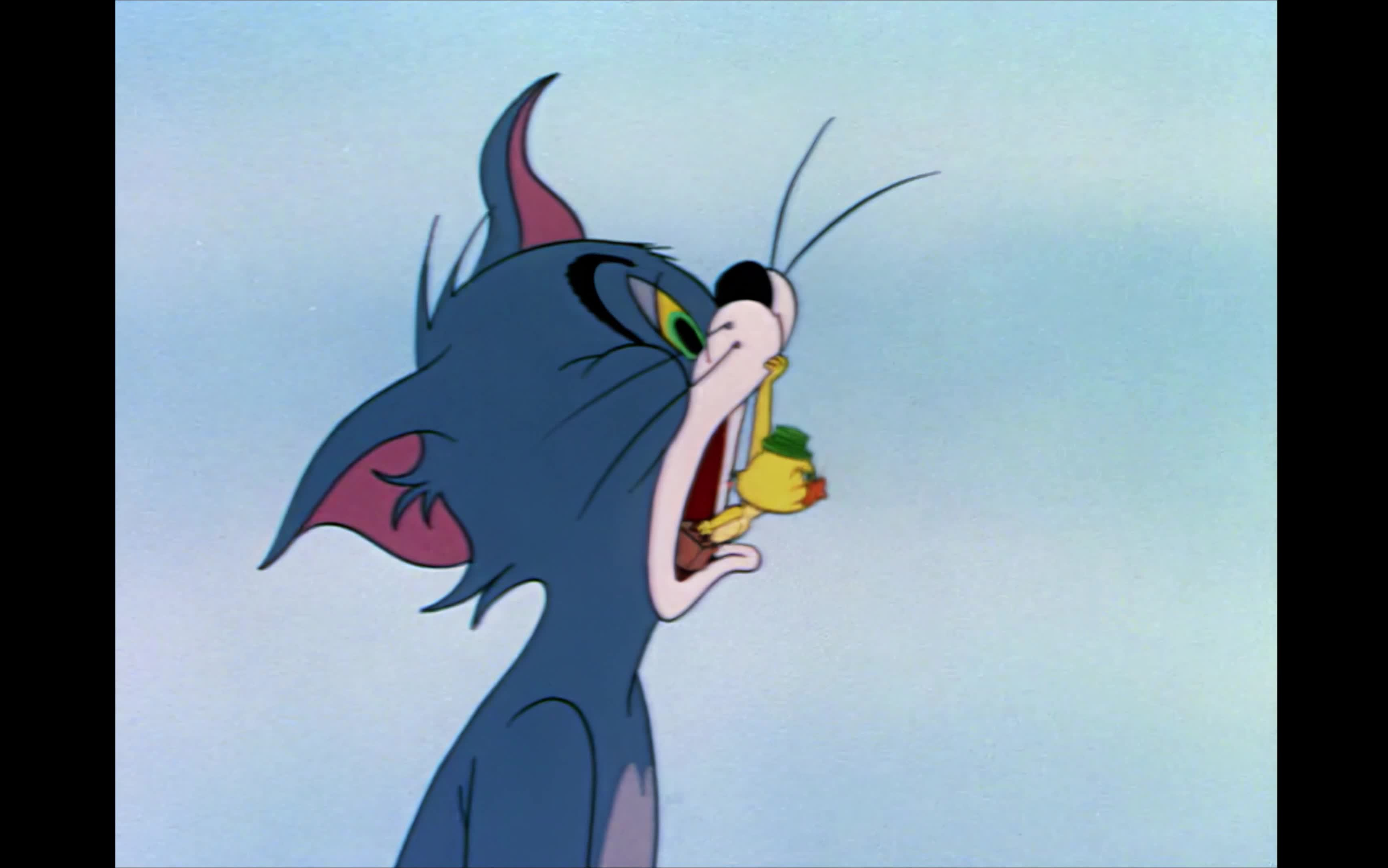 猫和老鼠 southbound duckling 南飞的鸭子