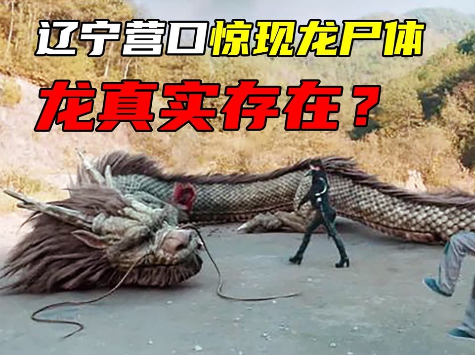 原来真的有龙这种生物,还上了新闻—营口坠龙事件.