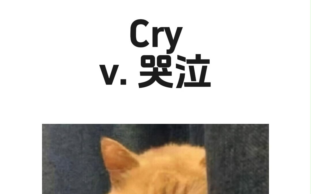 戳破假慈悲场面!猫哭耗子英语怎么说?直译啦