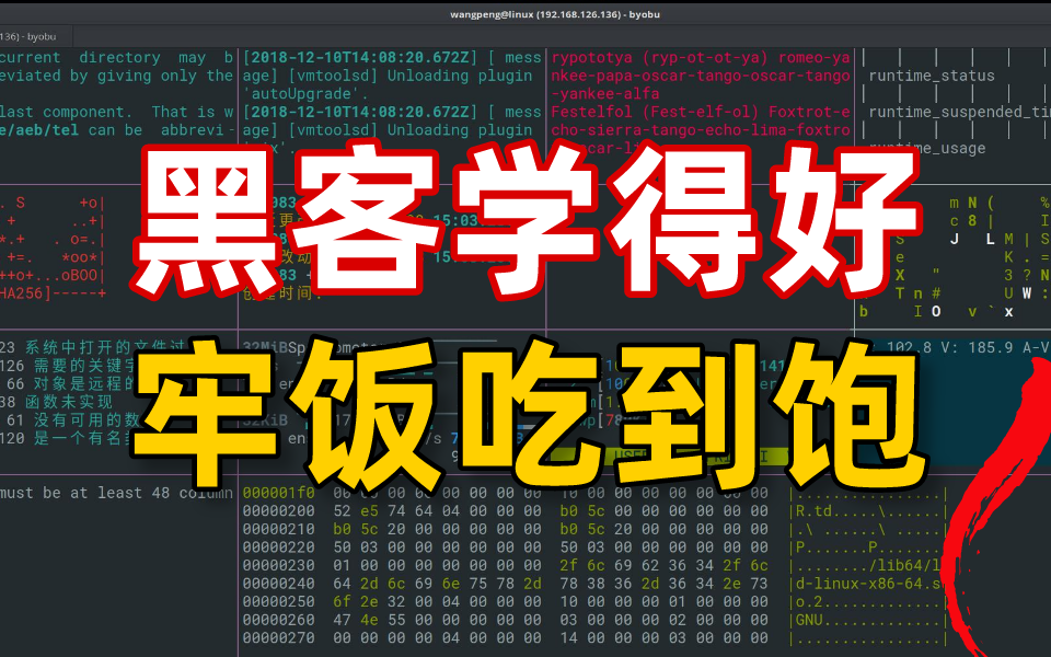 【黑客1000集】黑客学得好,牢饭吃到饱!目前B站最完整的黑客教程,包含所有干货内容!这还没人看,我不更了!网络安全/渗透测试哔哩哔哩bilibili