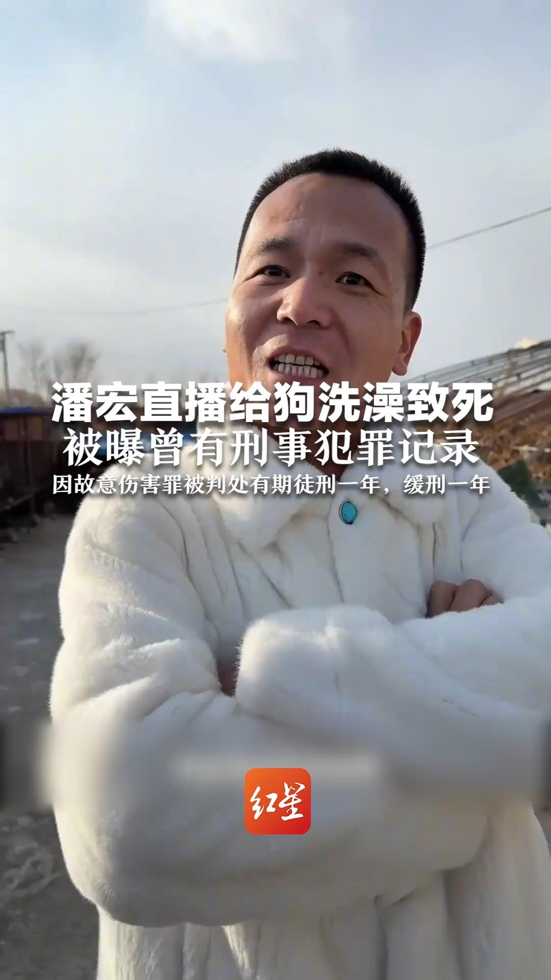 潘宏直播给狗洗澡致死 被曝曾有刑事犯罪记录 因故意伤害罪被判处有期徒刑一年,缓刑一年哔哩哔哩bilibili