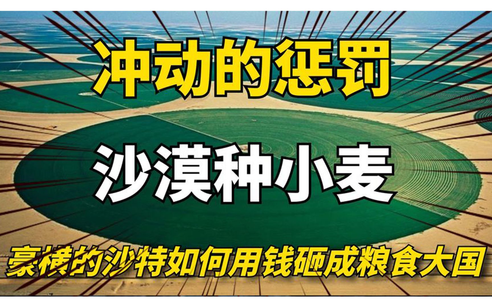 有钱真的能为所欲为吗?看看沙特农业是如何石油浇地的哔哩哔哩bilibili