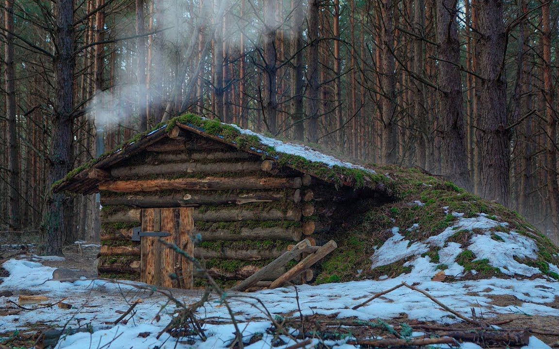 【life in the wild】冬季森林原始庇护所