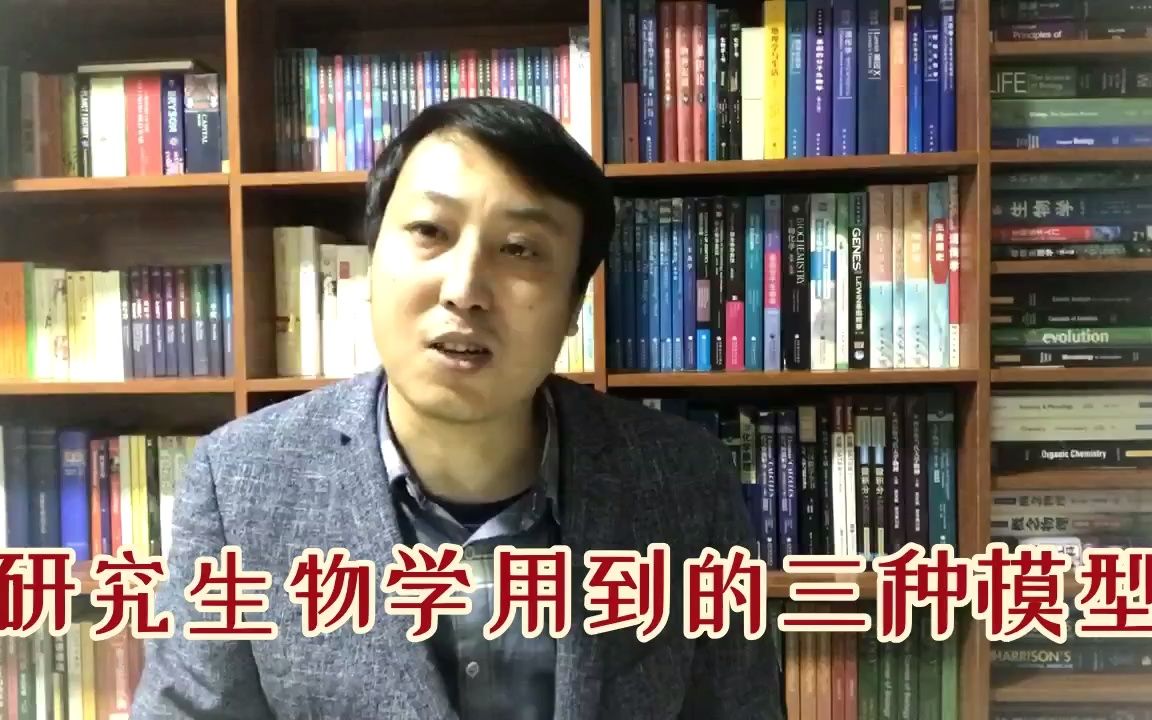 研究生物学用到的三种模型哔哩哔哩bilibili